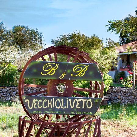 Il Vecchioliveto Di Ornella Bed & Breakfast Marrubiu ภายนอก รูปภาพ