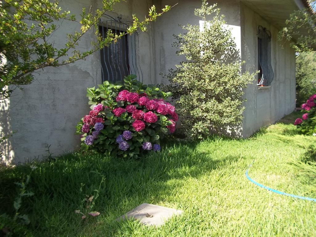 Il Vecchioliveto Di Ornella Bed & Breakfast Marrubiu ห้อง รูปภาพ
