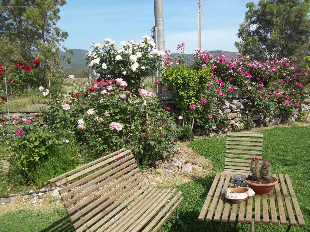 Il Vecchioliveto Di Ornella Bed & Breakfast Marrubiu ห้อง รูปภาพ