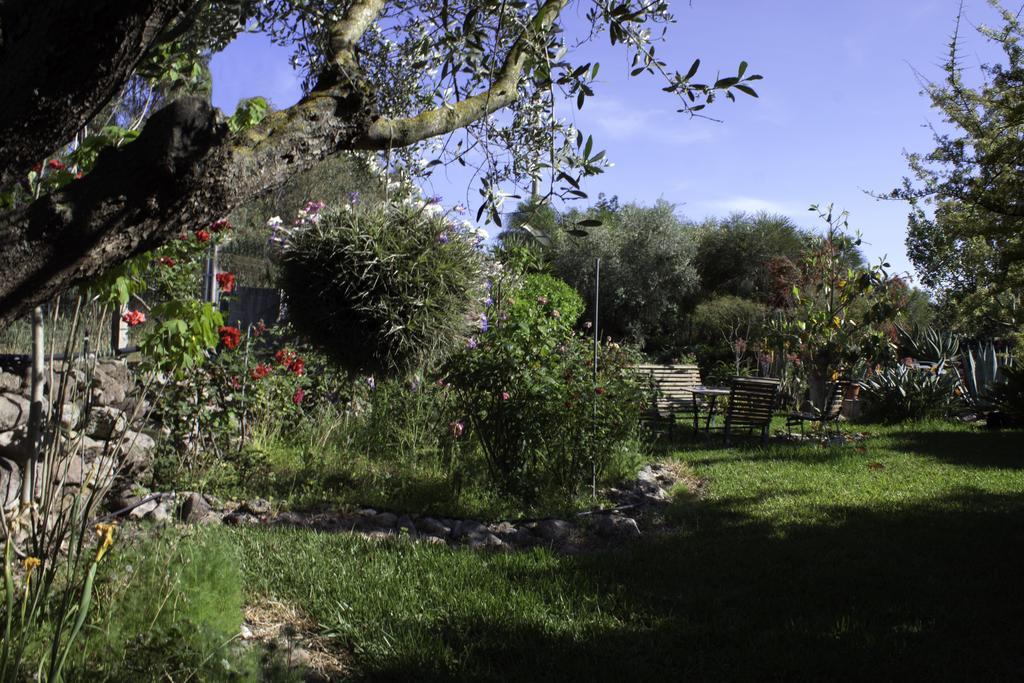 Il Vecchioliveto Di Ornella Bed & Breakfast Marrubiu ภายนอก รูปภาพ