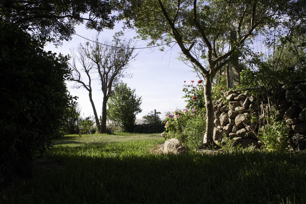 Il Vecchioliveto Di Ornella Bed & Breakfast Marrubiu ภายนอก รูปภาพ