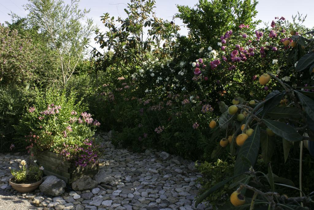 Il Vecchioliveto Di Ornella Bed & Breakfast Marrubiu ภายนอก รูปภาพ