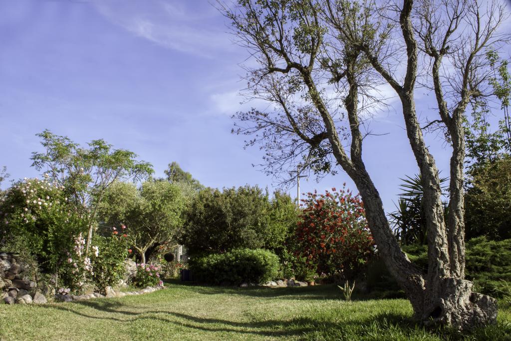Il Vecchioliveto Di Ornella Bed & Breakfast Marrubiu ภายนอก รูปภาพ