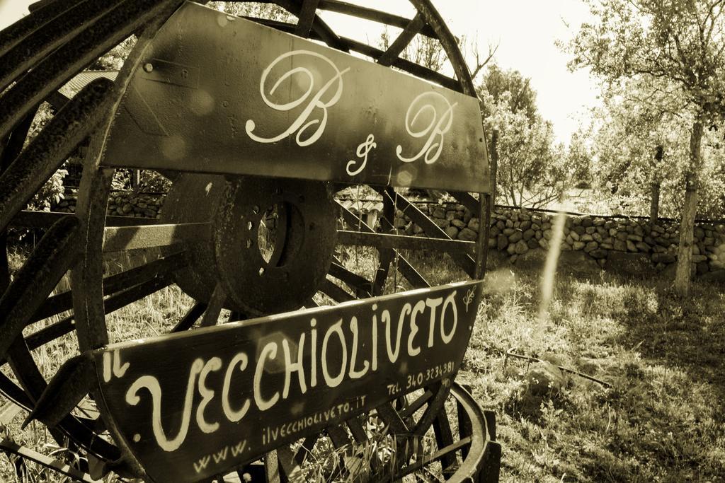 Il Vecchioliveto Di Ornella Bed & Breakfast Marrubiu ภายนอก รูปภาพ