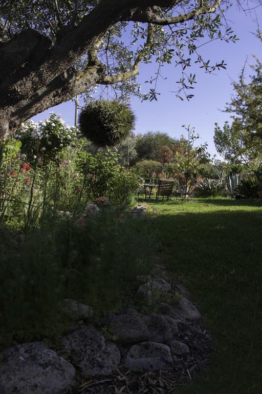 Il Vecchioliveto Di Ornella Bed & Breakfast Marrubiu ภายนอก รูปภาพ