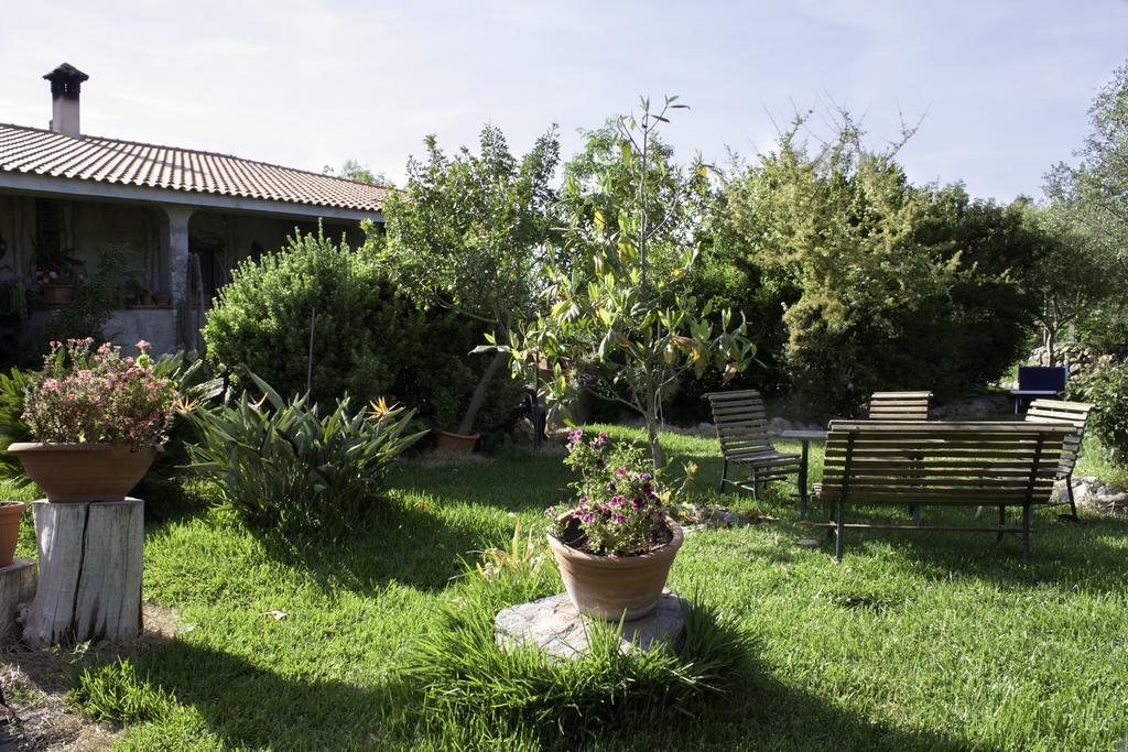Il Vecchioliveto Di Ornella Bed & Breakfast Marrubiu ภายนอก รูปภาพ