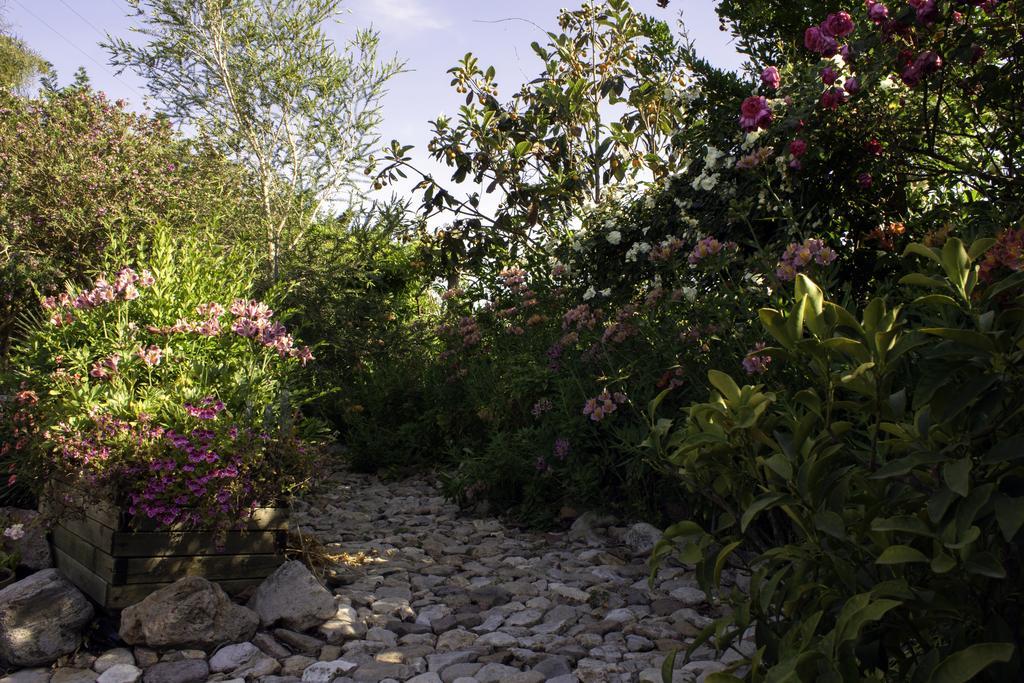 Il Vecchioliveto Di Ornella Bed & Breakfast Marrubiu ภายนอก รูปภาพ